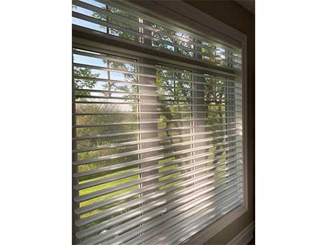 Hanging blinds on a window with a view of shady trees